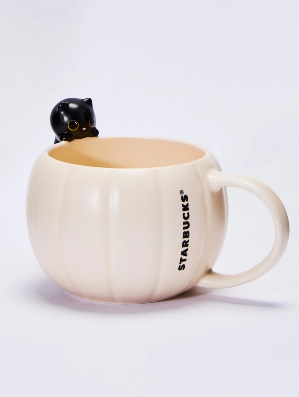 Starbucks 2026 Cream Pumpkin Mug with Black Cat Accents NWT